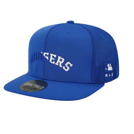 時尚立體刺繡平板網(wǎng)帽定制